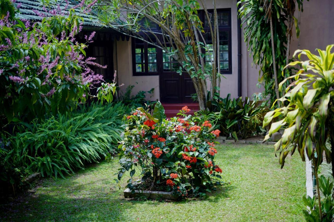 Bandarawela Hotel Exterior foto